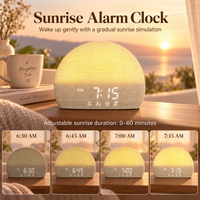 Sunrise Simulation Alarm Clock – Wake-Up Light with White Noise & Sleep Sounds