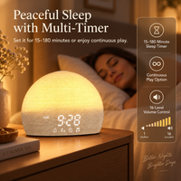 Sunrise Simulation Alarm Clock – Wake-Up Light with White Noise & Sleep Sounds